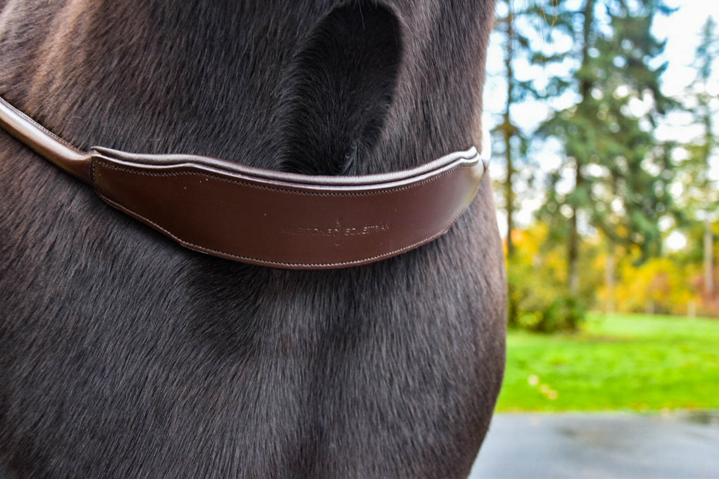 “Banksy” Padded Comfort Neck Rope *PRE ORDER ONLY*