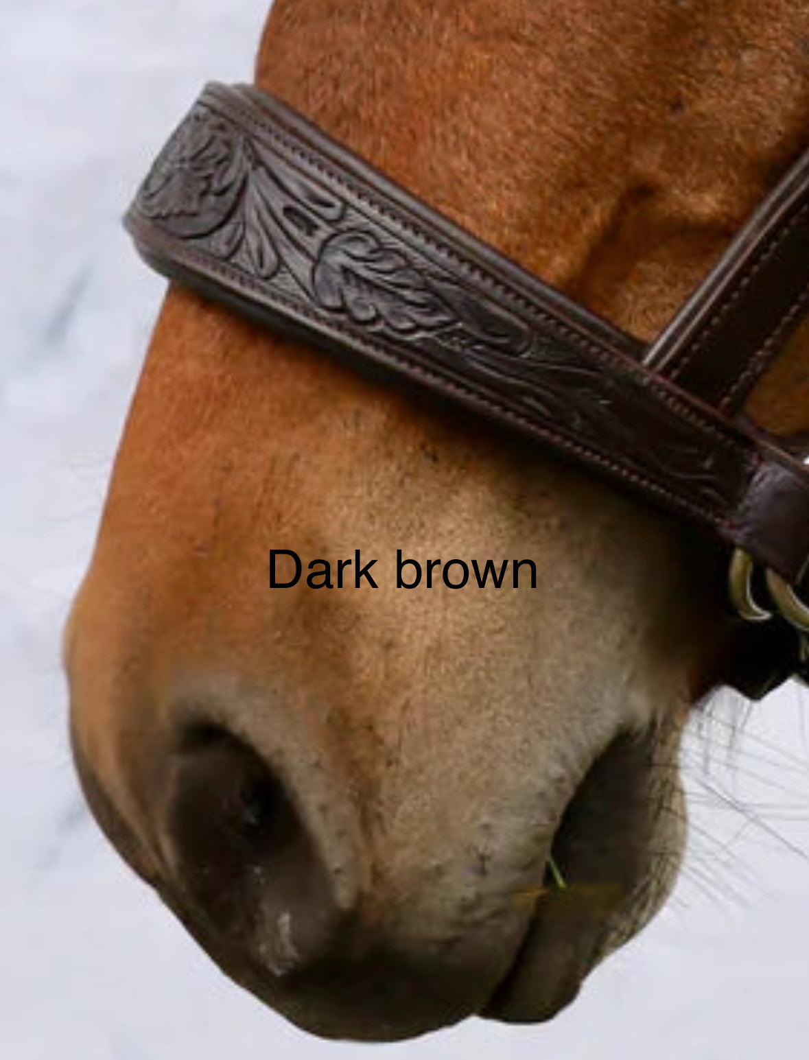 Pogo Western Bitless Bridle