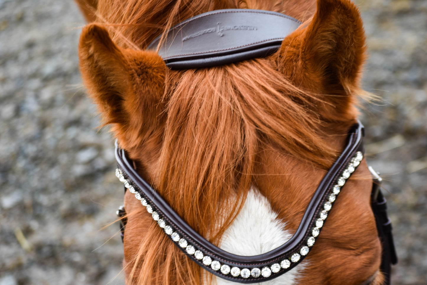 “Juniper” Side Pull Bitless Bridle