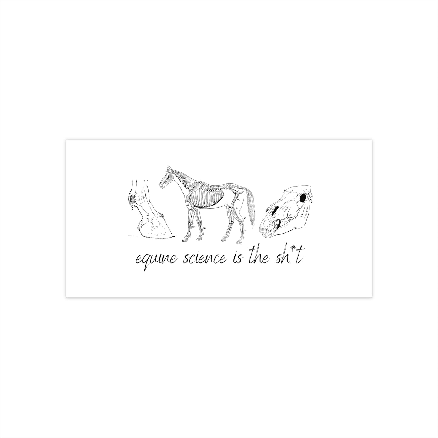 Equine Science Bumper Sticker
