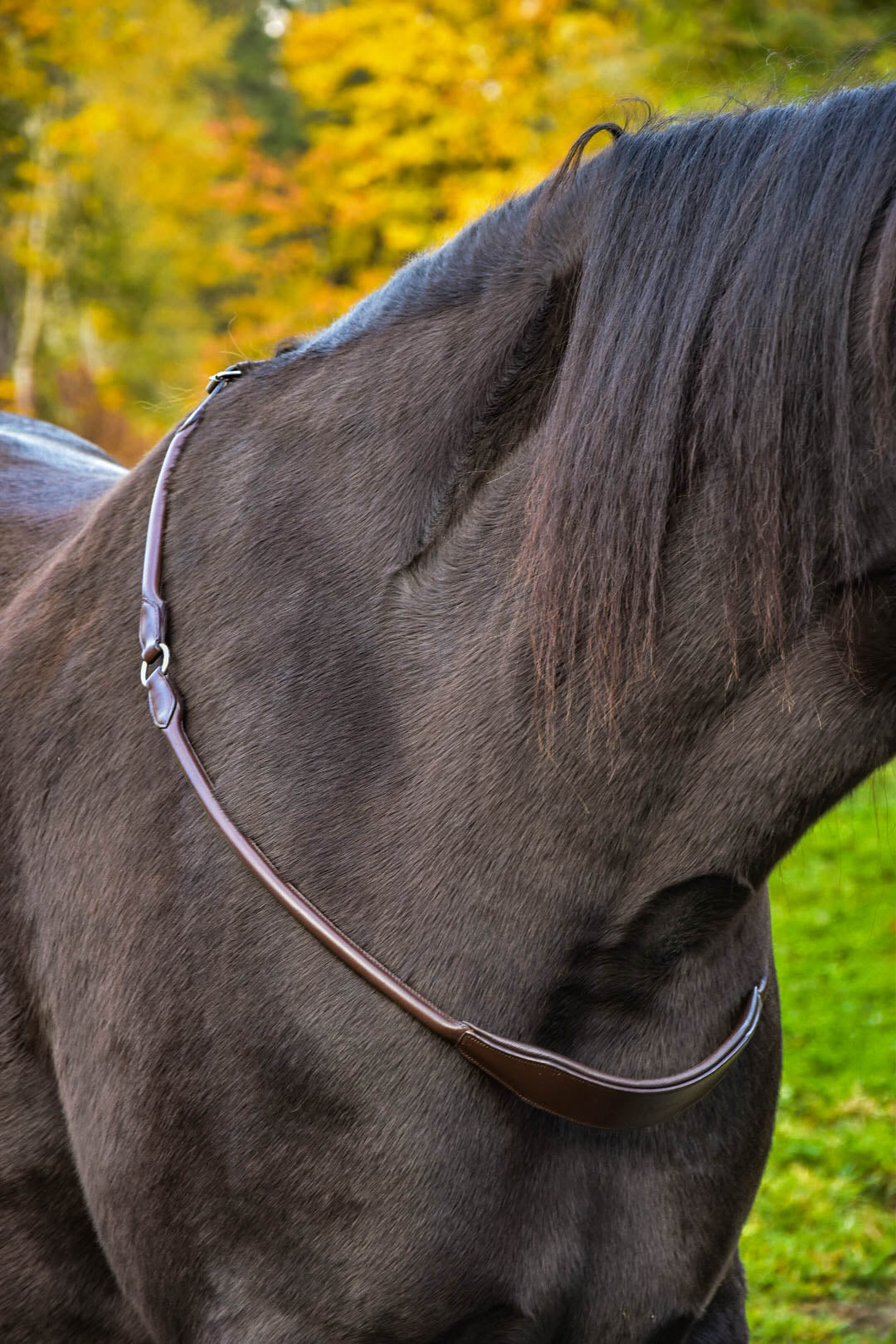 “Banksy” Padded Comfort Neck Rope *PRE ORDER ONLY*