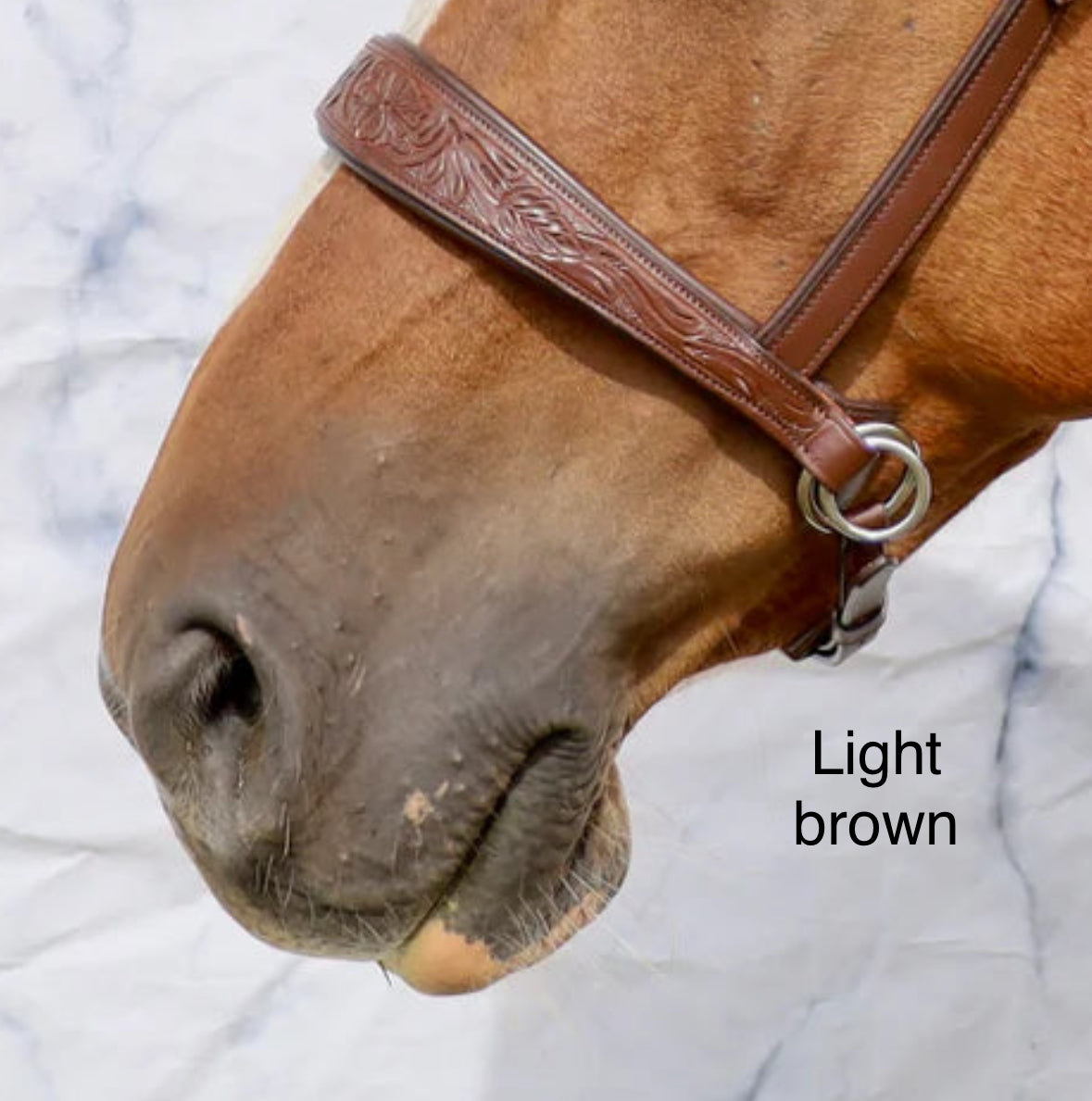 Pogo Western Bitless Bridle