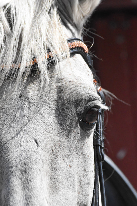 Rhinestone Browbands