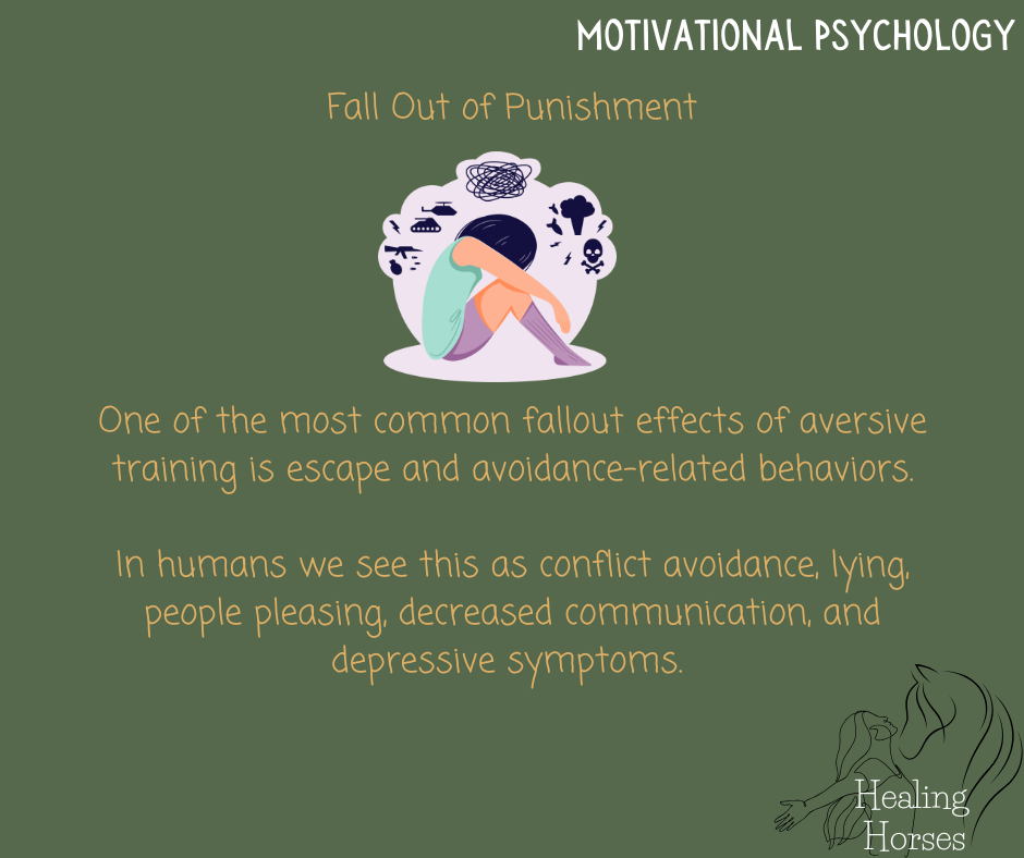 Healing Horses: A 10 Week Transformative Course