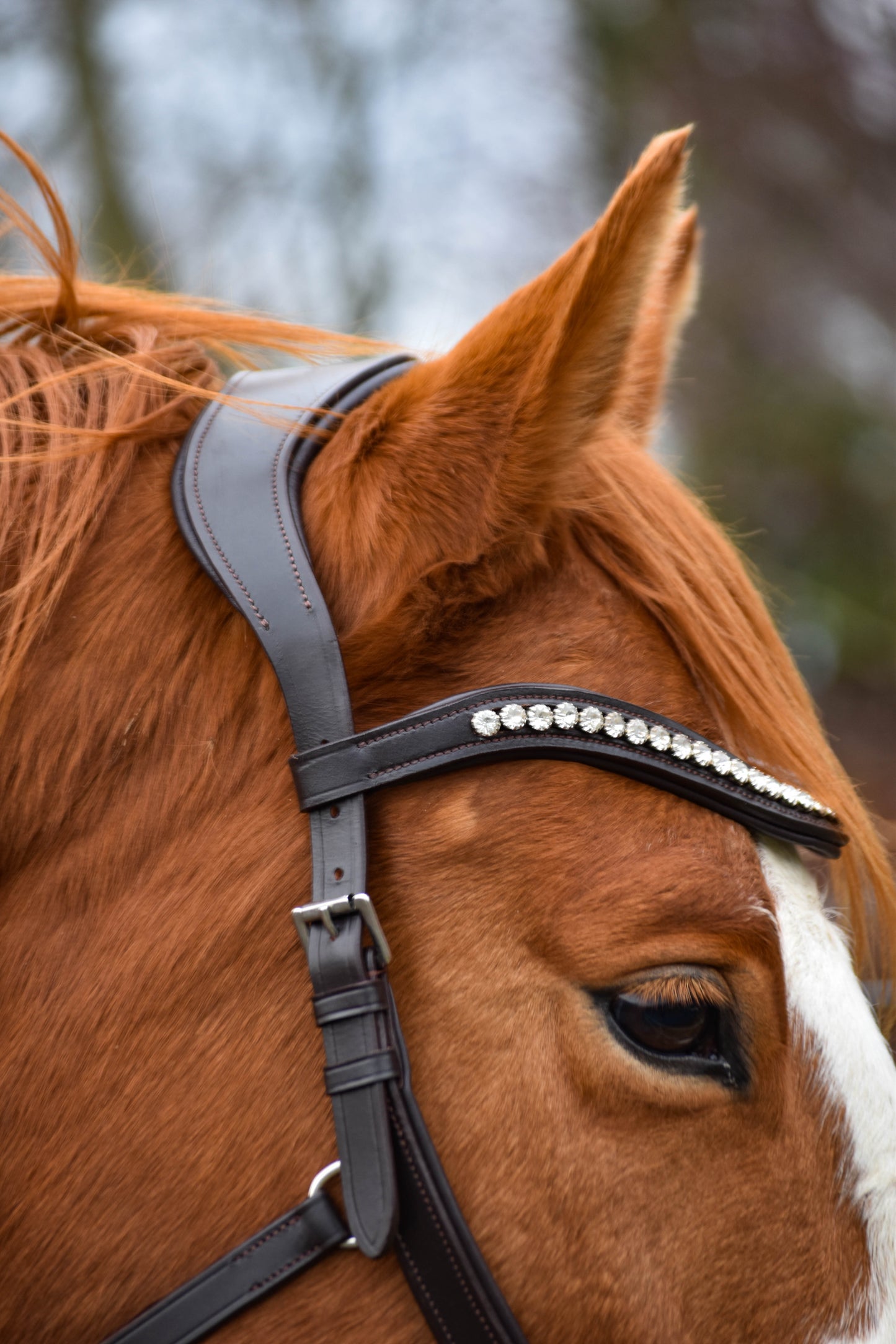 “Juniper” Side Pull Bitless Bridle
