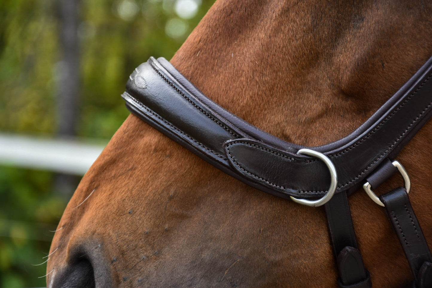 Noseband Only - Milo or Harlow Bridle