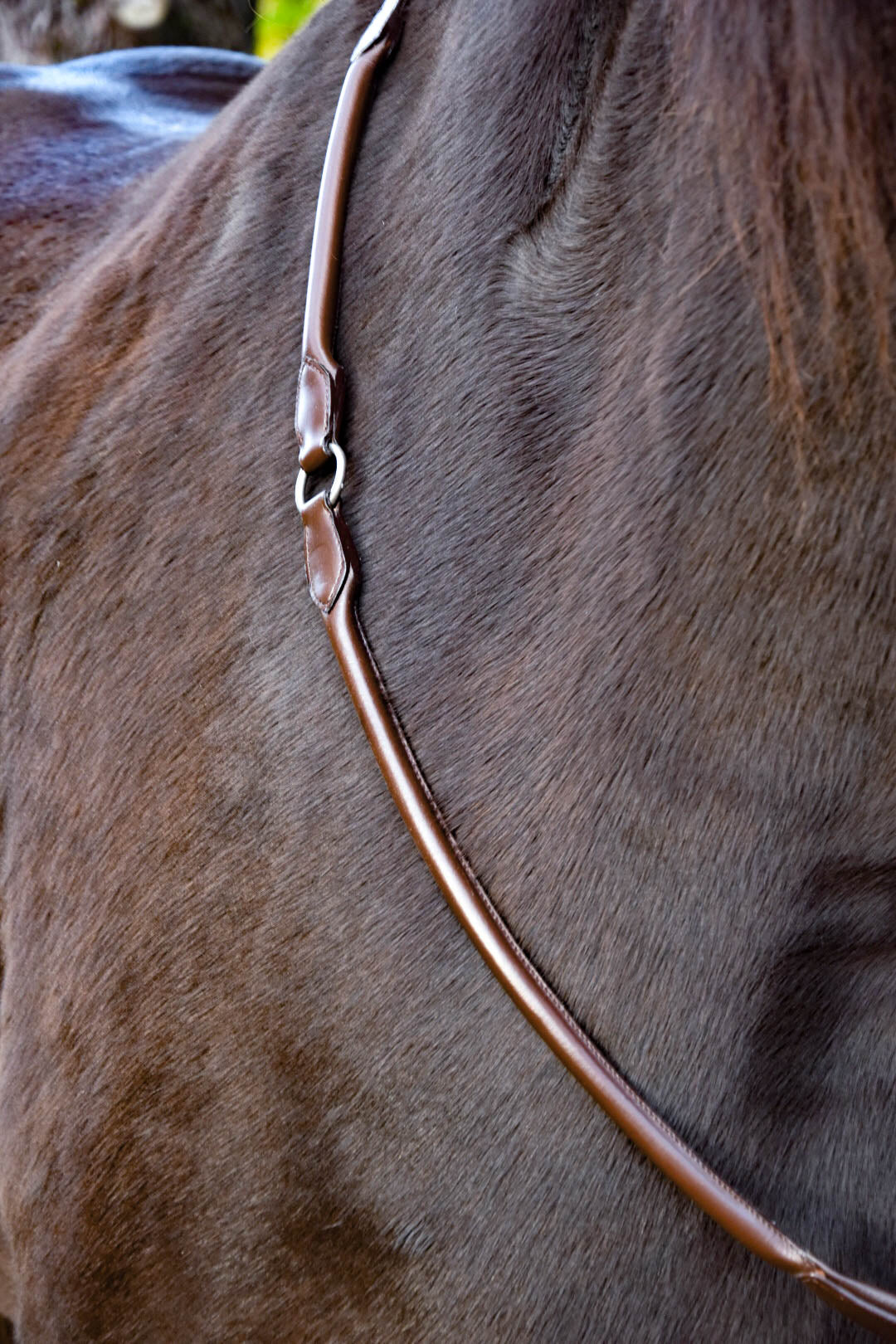 “Banksy” Padded Comfort Neck Rope *PRE ORDER ONLY*