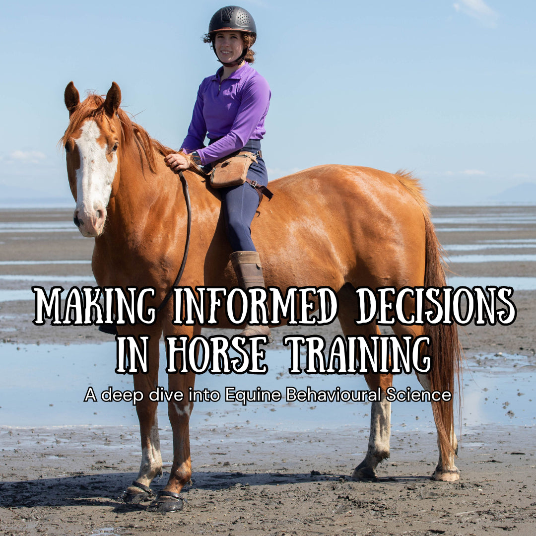 Horse Training & Behaviour Deep Dive: Making Informed Decisions in Training