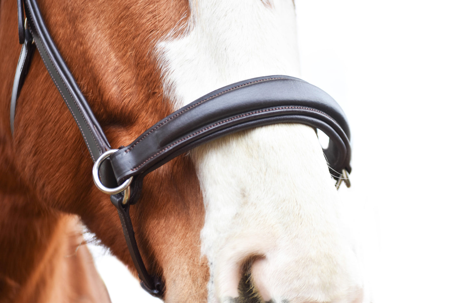 “Juniper” Side Pull Bitless Bridle