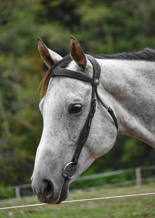 “Mesa” Western Bitted Bridle
