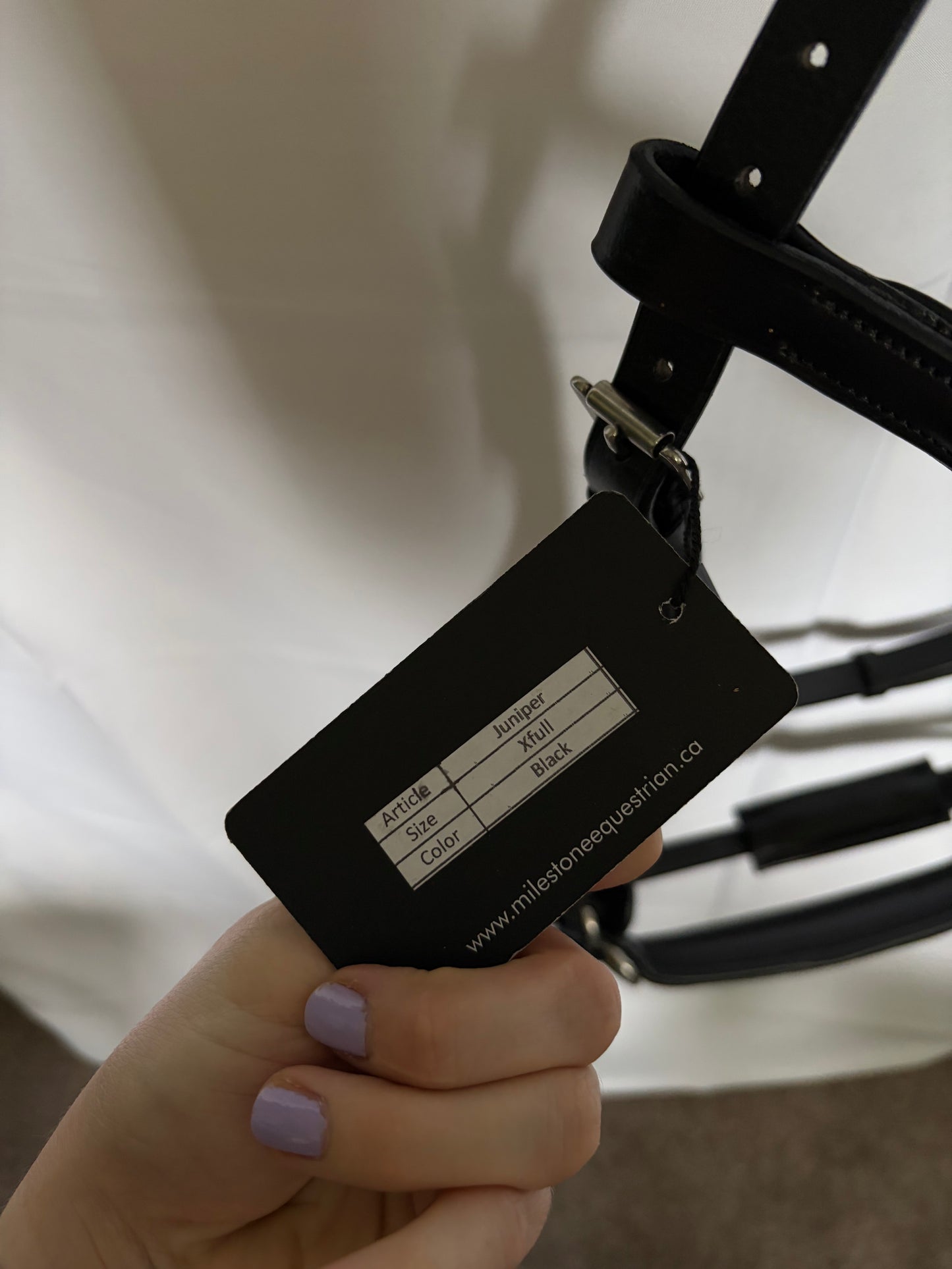 Juniper Side Pull Bitless Bridle - X-FULL