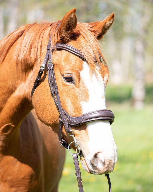 Harlow Anatomical Bridle