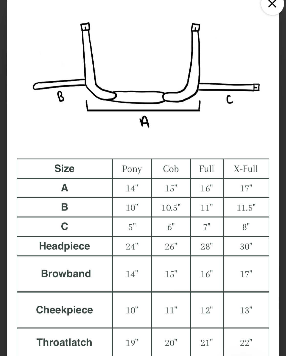 "Milo" Anatomical Bitless Bridle V2