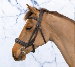 Harlow Anatomical Bridle