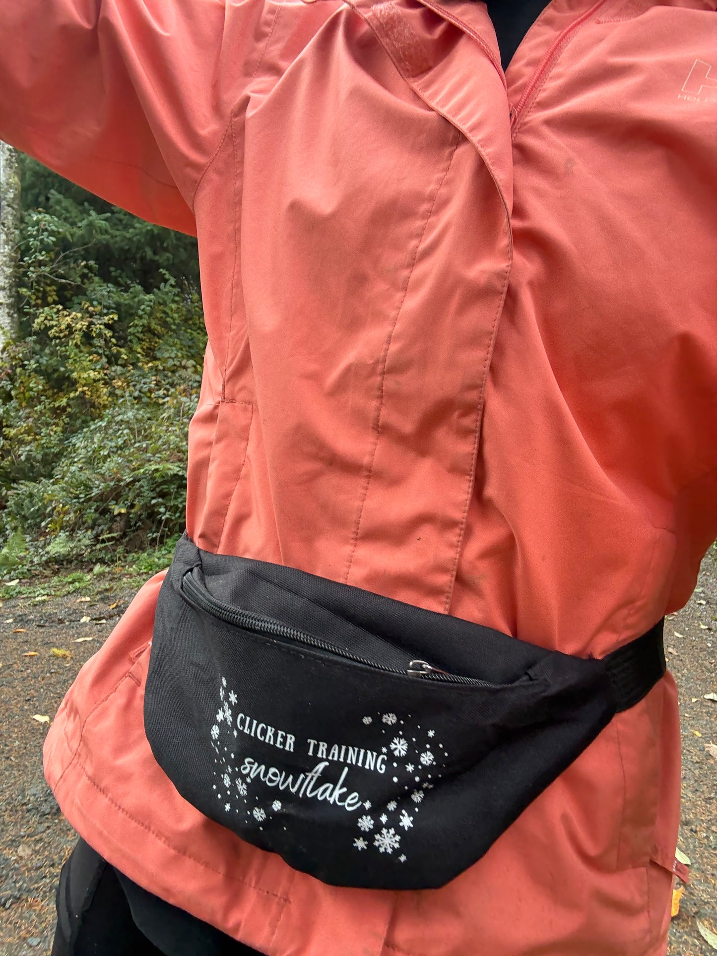 Clicker Training Snowflake Treat Bag