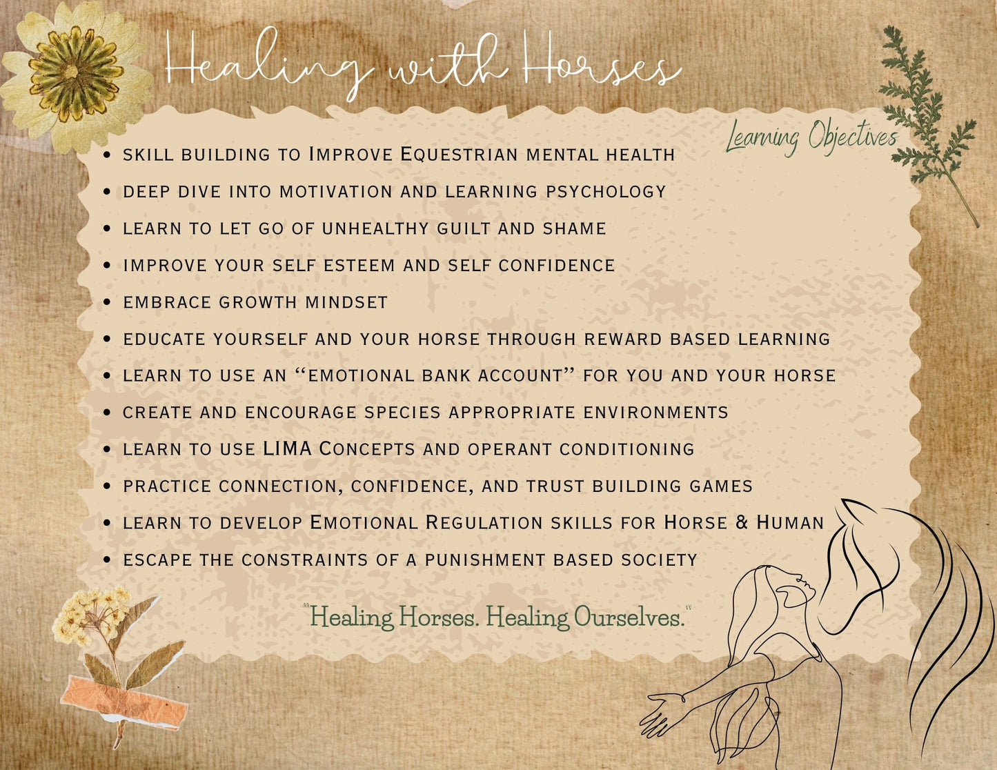 Healing Horses: A 10 Week Transformative Course