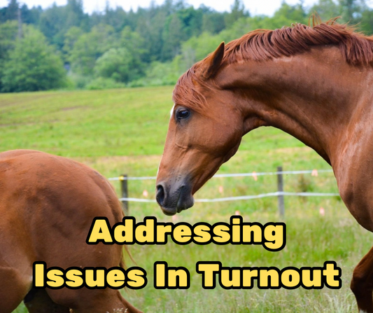 Addressing Issues in Turnout Webinar