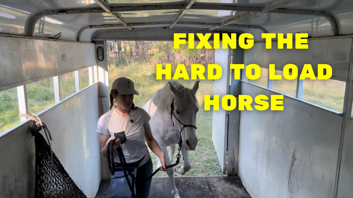 Addressing Severe Trailering Anxiety: A Case Study Series