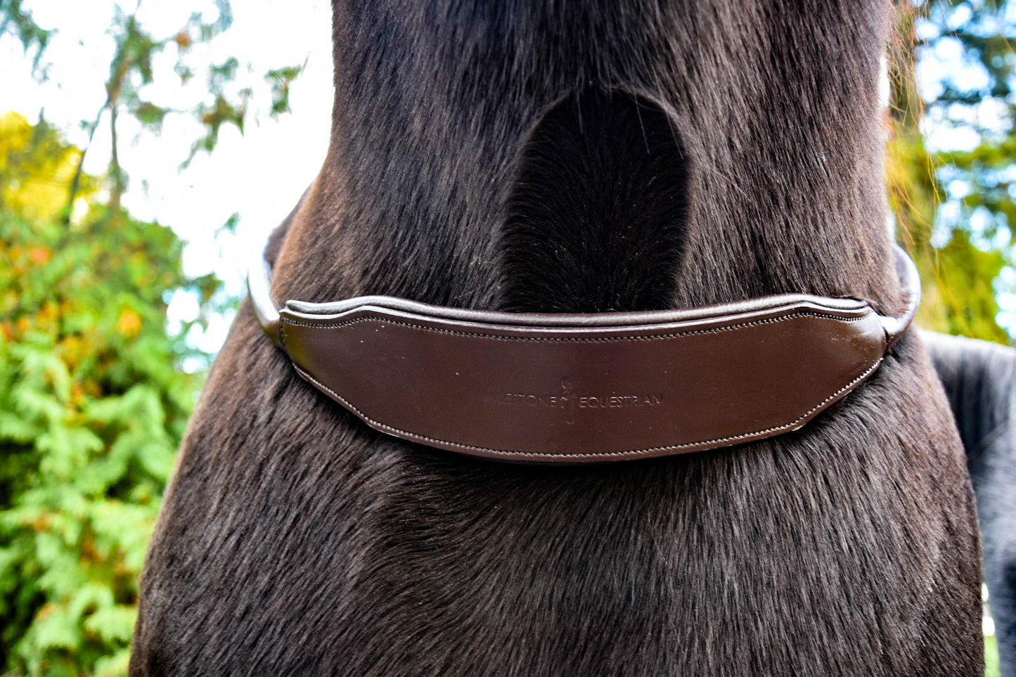 “Banksy” Padded Comfort Neck Rope *PRE ORDER ONLY*