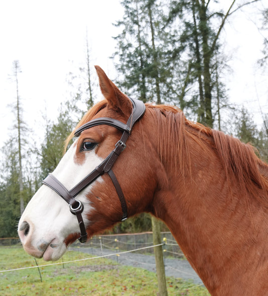 “Farley” Side Pull Bitless Bridle