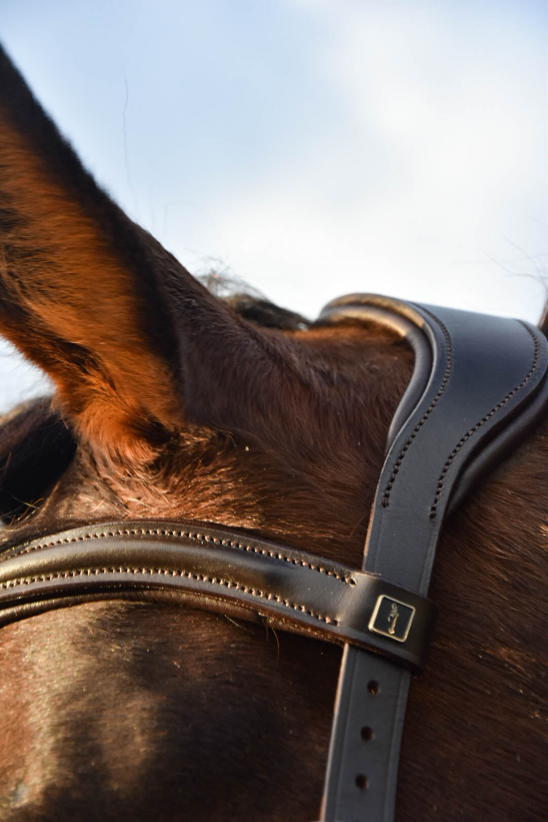 Milo Anatomical Bitless Bridle: 2026 version PRE ORDER ONLY