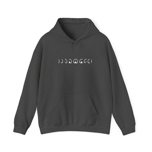 Barefoot Moon Phases Hoodie