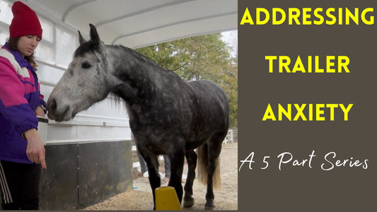 Fixing Trailer Loading Problems with R+ | 5+ HOUR 10 video series