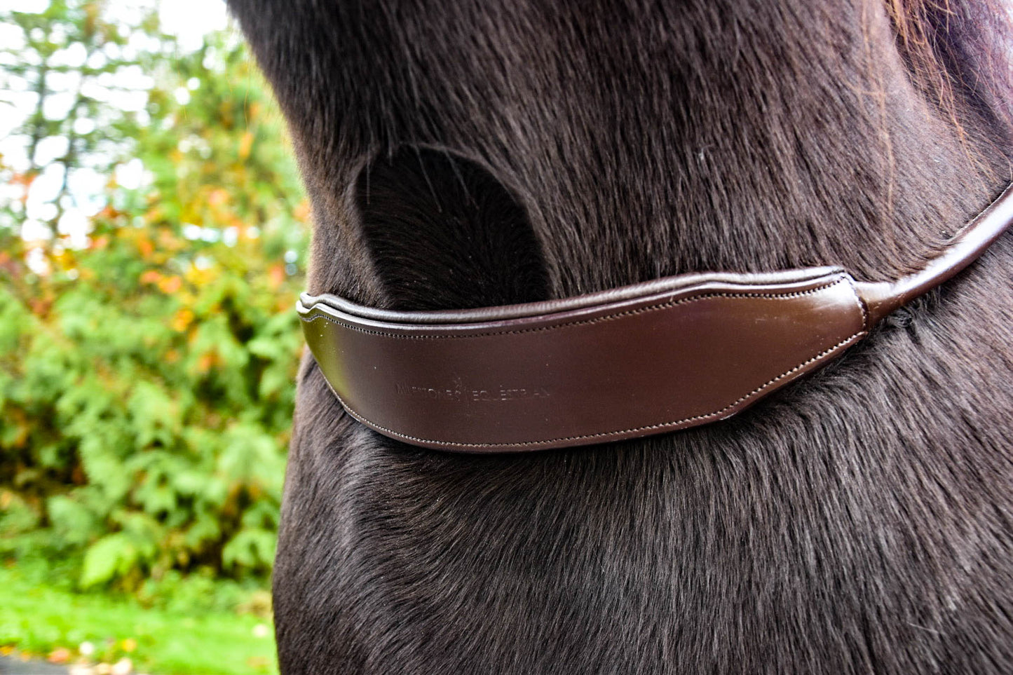 “Banksy” Padded Comfort Neck Rope *PRE ORDER ONLY*