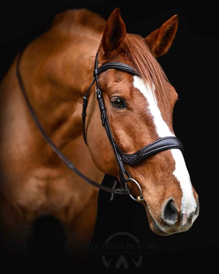 Plain Leather Browband
