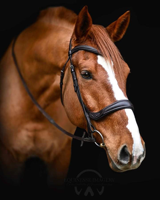 Plain Leather Browband