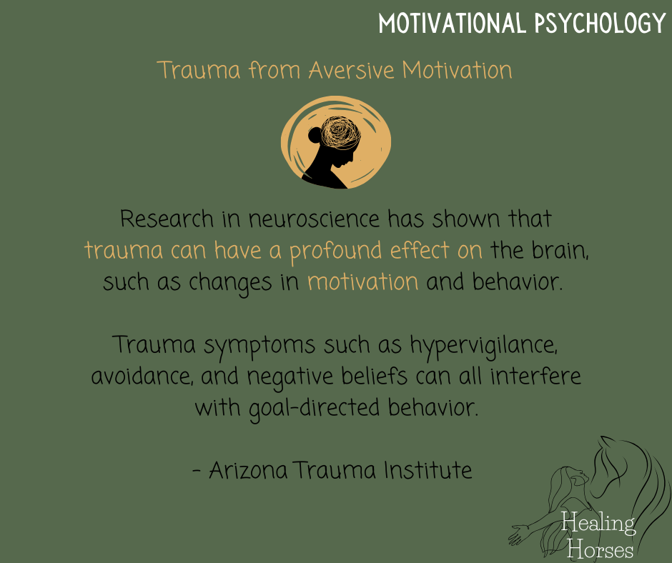 Healing Horses: A 10 Week Transformative Course