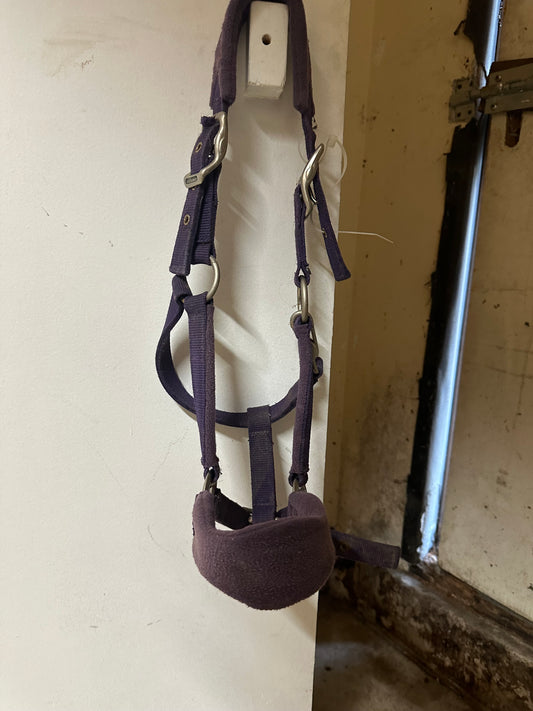 Large pony sized purple halter