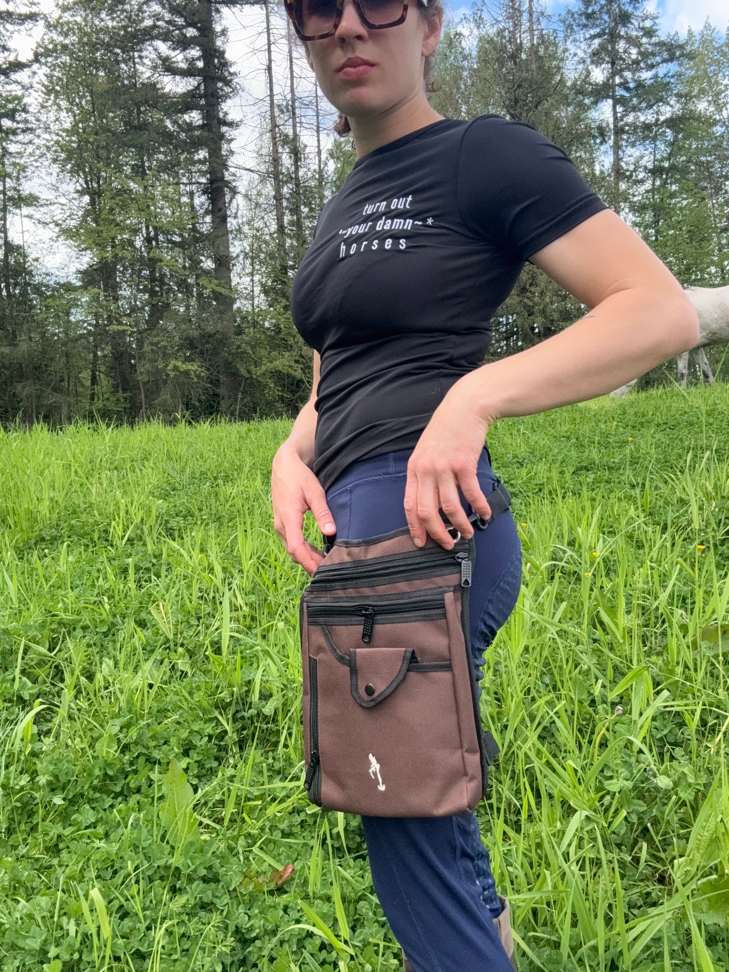 Multi-Pocket Treat Bag