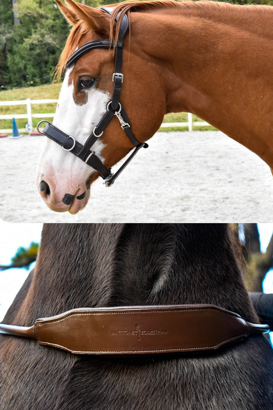 Dallas Convertible Multi Bridle + Matching Banksy Padded Comfort Neck Rope
