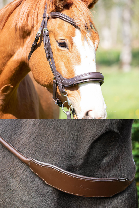 Harlow Anatomical Bridle & Matching Banksy Padded Comfort Neck Rope