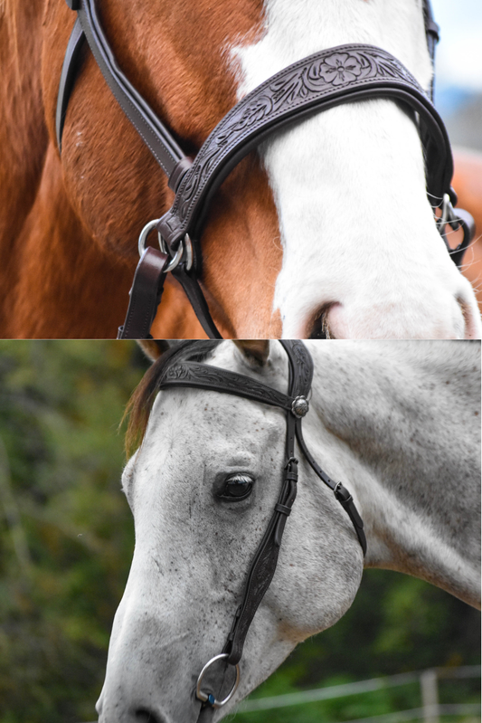 Matching Western Bridle Bundle