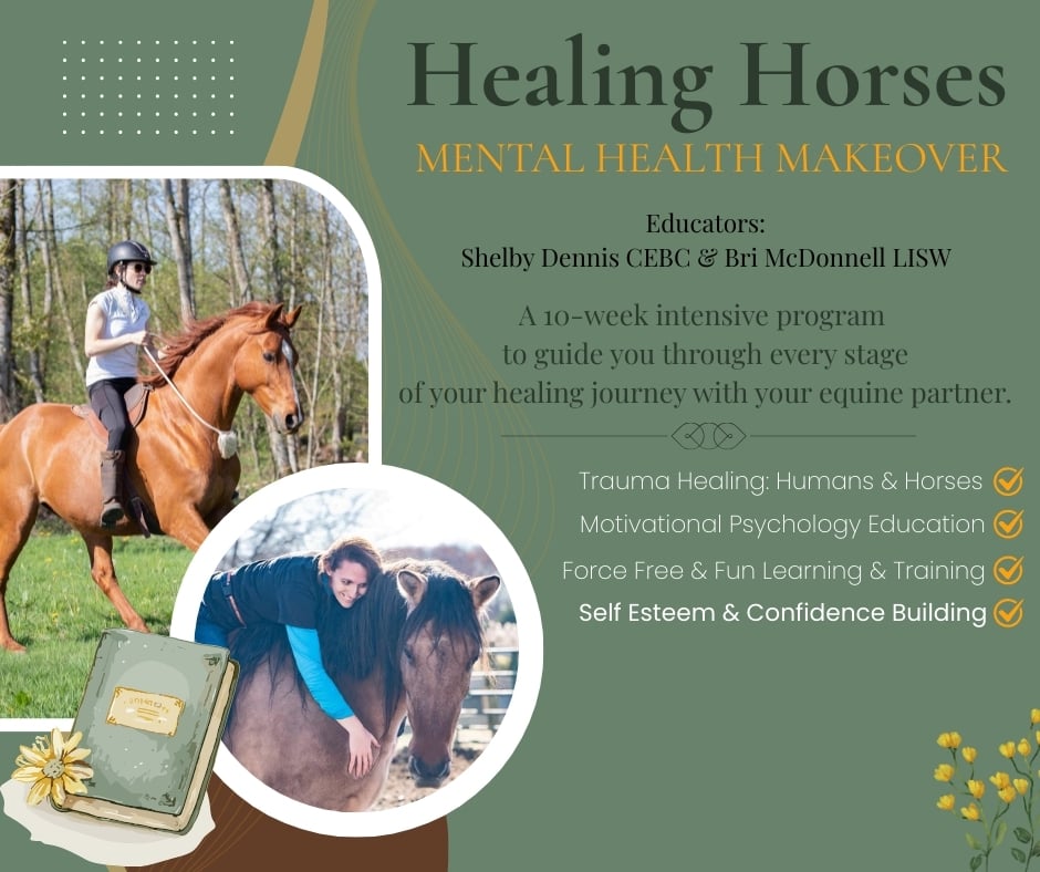 Healing Horses: A 10 Week Transformative Course